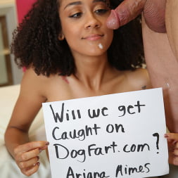 Ariana Aimes - We Fuck Black Girls