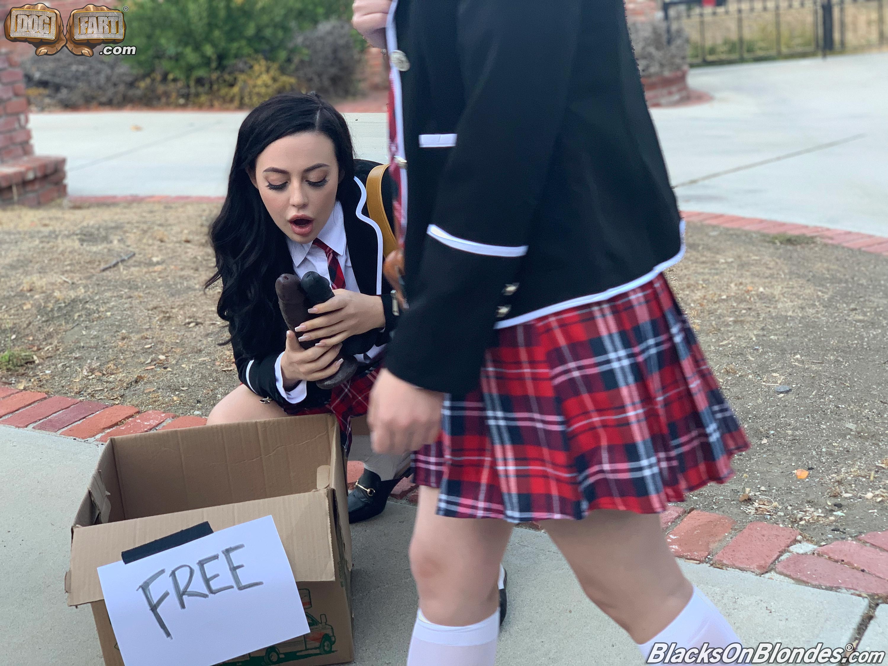 Casey Calvert and Whitney Wright - Blacks On Blondes