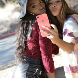Daya Knight, September Reign and Bunny Colby - Zebra Girls