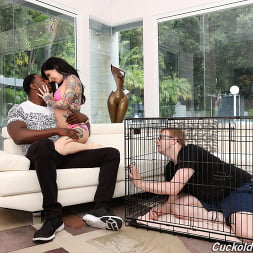 Joanna Angel - Cuckold Sessions